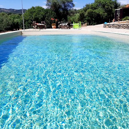 Cabana Rustica En Un Rancho Con Caballos, Prado Del Rey, Andalucia Esterno foto