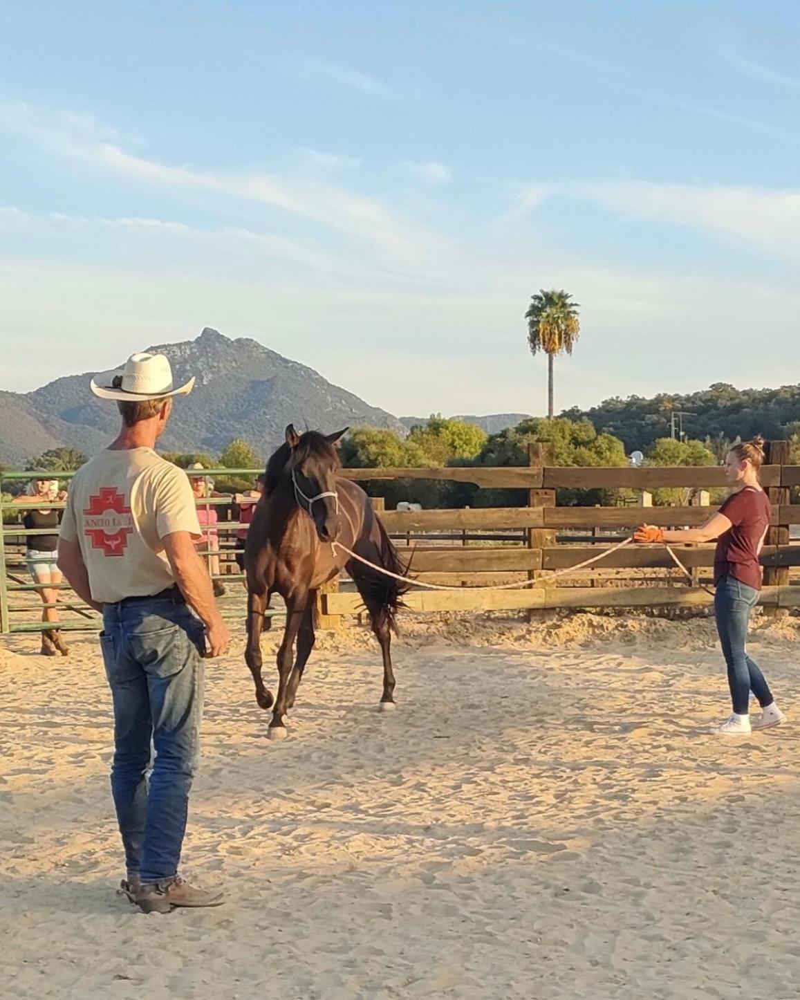 Cabana Rustica En Un Rancho Con Caballos, Prado Del Rey, Andalucia Esterno foto