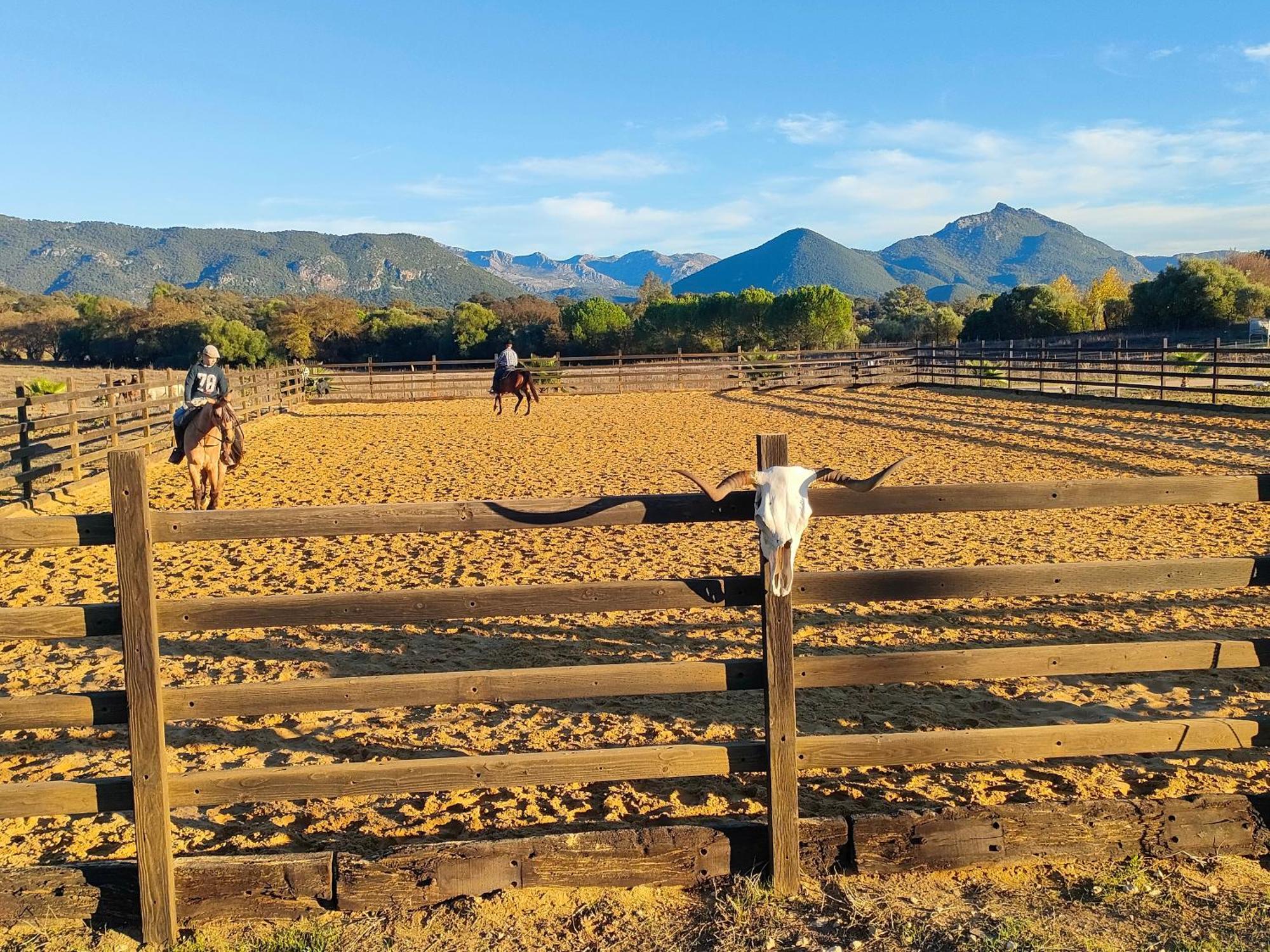 Cabana Rustica En Un Rancho Con Caballos, Prado Del Rey, Andalucia Esterno foto