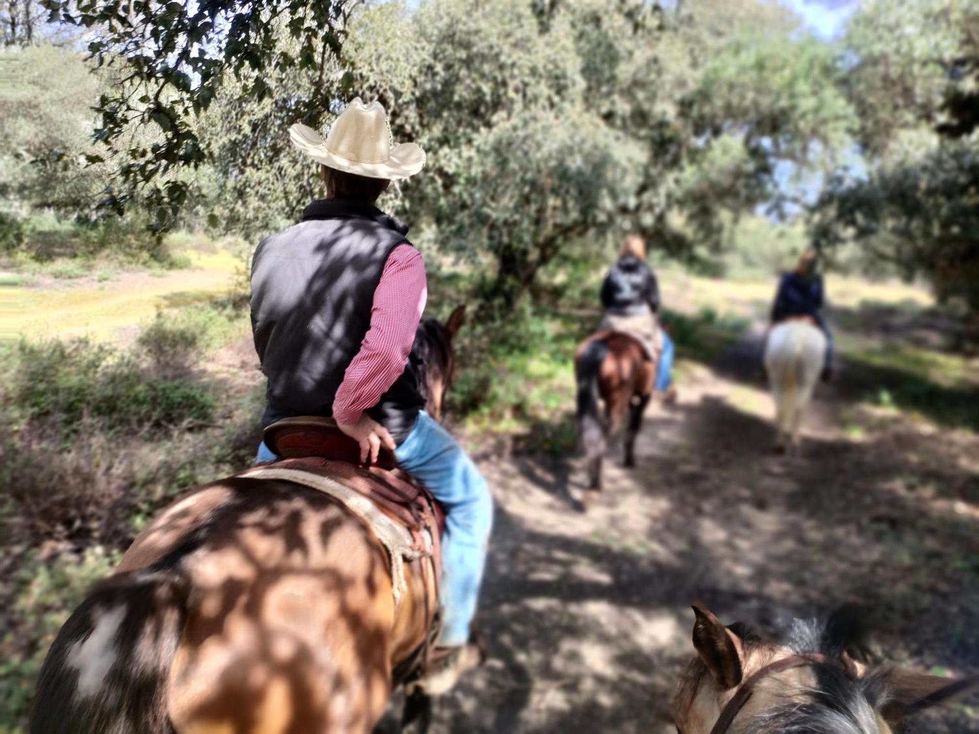 Cabana Rustica En Un Rancho Con Caballos, Prado Del Rey, Andalucia Esterno foto