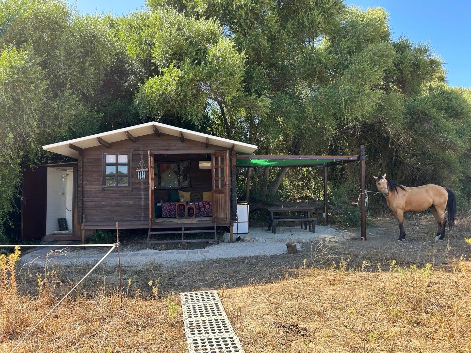Cabana Rustica En Un Rancho Con Caballos, Prado Del Rey, Andalucia Esterno foto